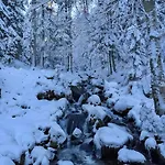 Brimbelle - La Petite Meurthe