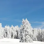 Brimbelle - La Petite Meurthe 公寓 *