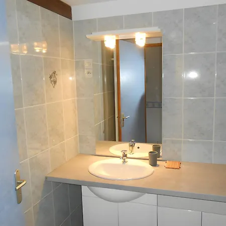 Brimbelle - La Petite Meurthe * Ban-sur-Meurthe-Clefcy