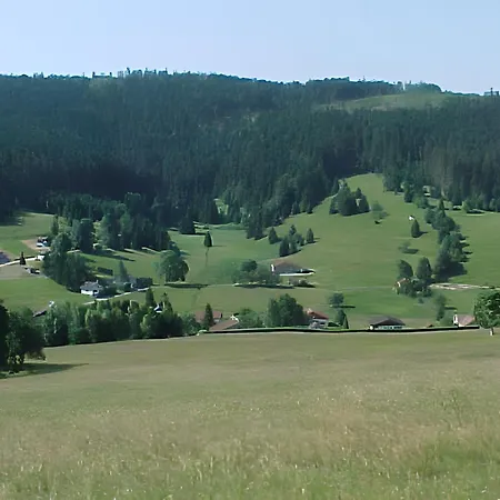 Brimbelle - La Petite Meurthe Apartment *