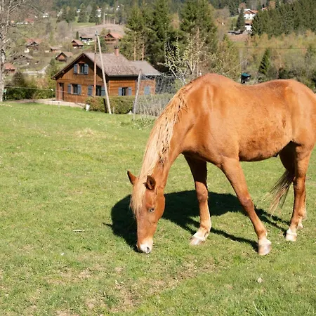 Brimbelle - La Petite Meurthe