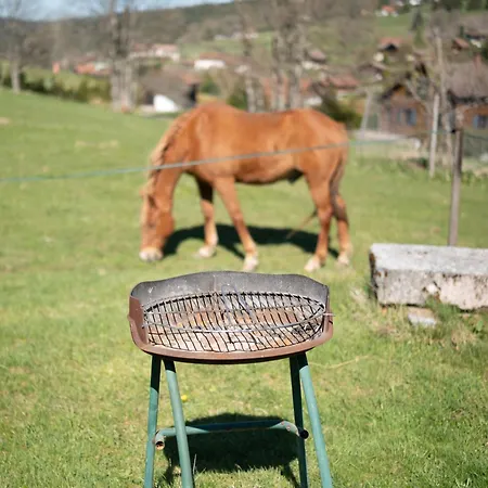 Brimbelle - La Petite Meurthe Appartamento *