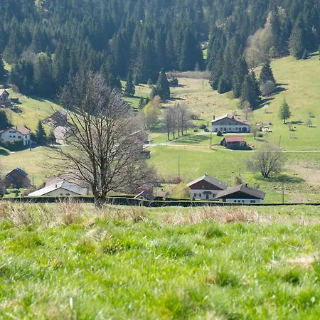 Appartamento Brimbelle - La Petite Meurthe Ban-sur-Meurthe-Clefcy