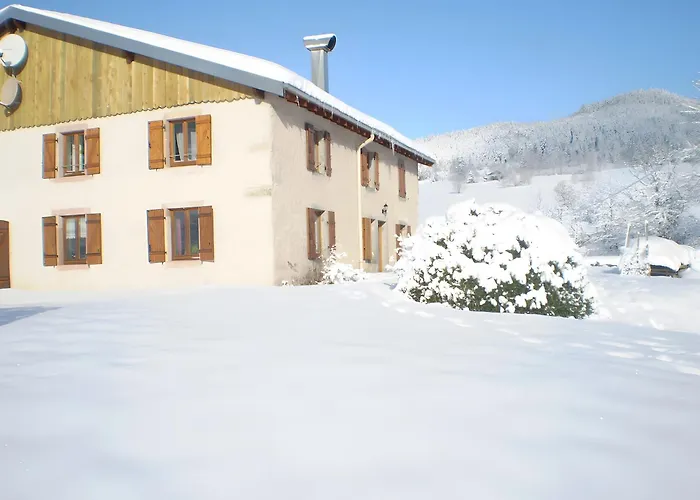 Brimbelle - La Petite Meurthe