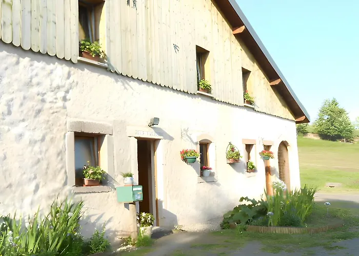 Apartment Brimbelle - La Petite Meurthe *