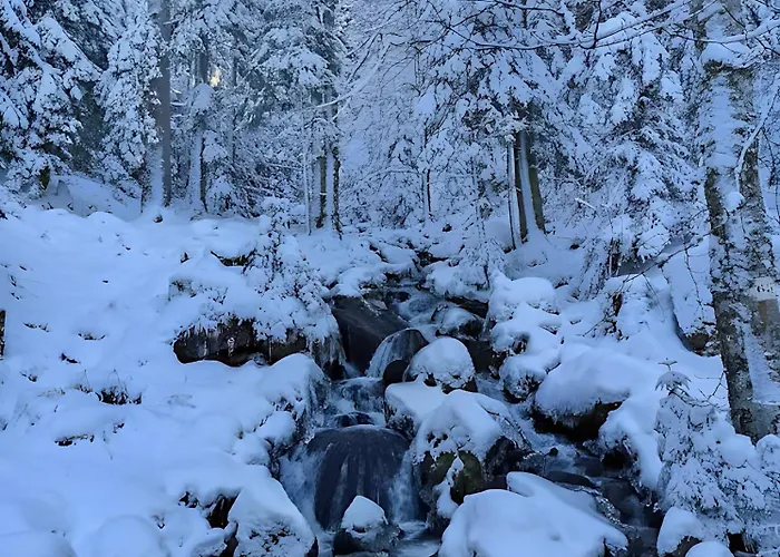 Brimbelle - La Petite Meurthe