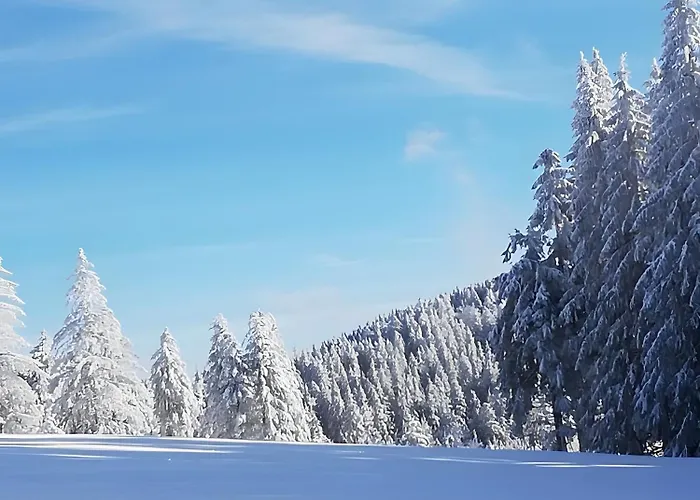 Brimbelle - La Petite Meurthe