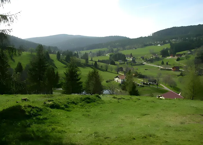 Apartment Brimbelle - La Petite Meurthe