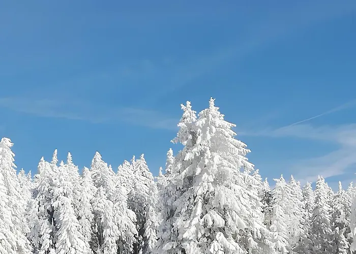 Brimbelle - La Petite Meurthe Apartment *